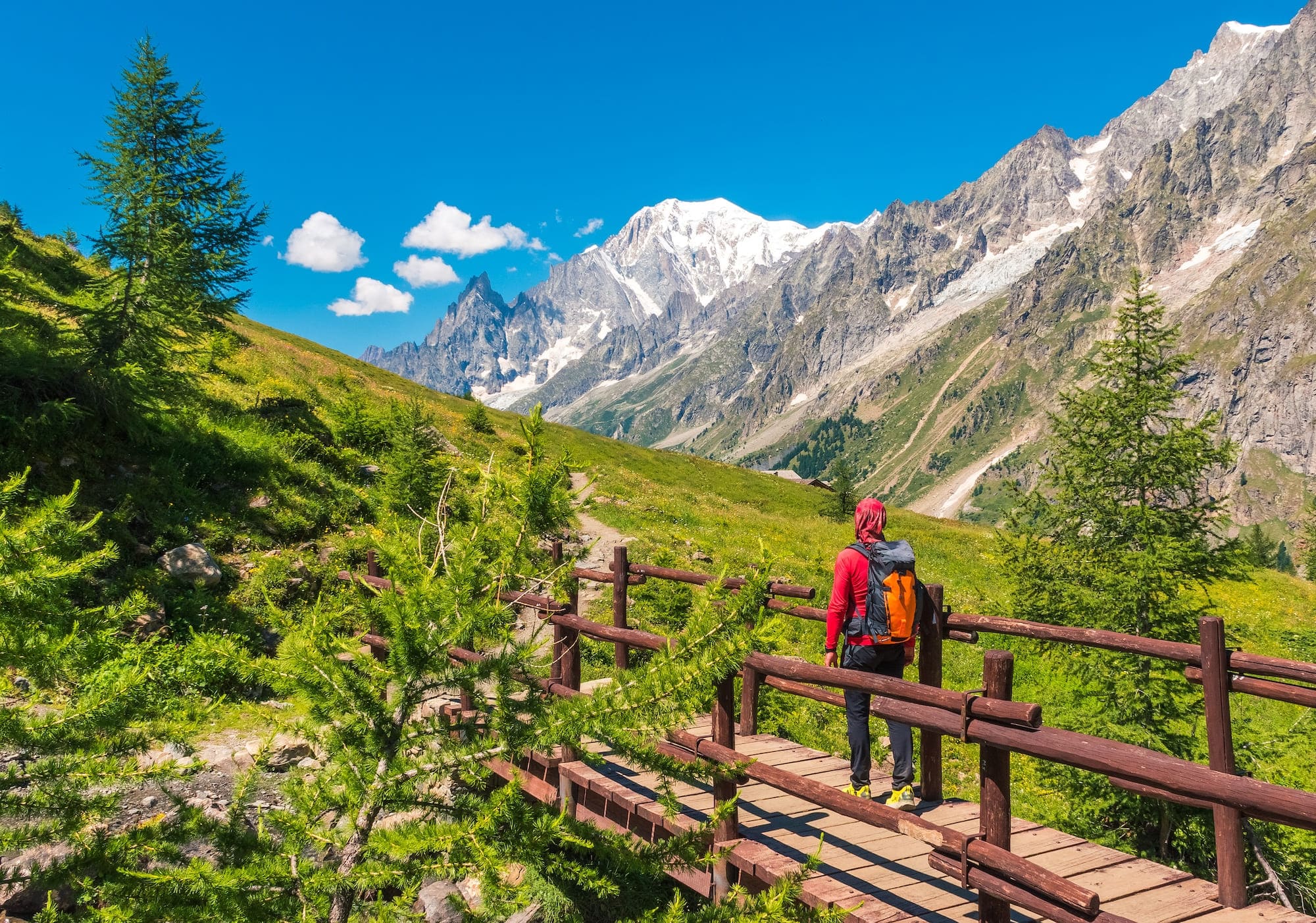 Mont blanc camping les iles passy flower